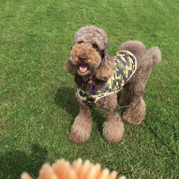 73adf961 2af1 4002 af20 9d9467fcfbc5