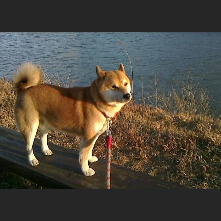 73ae1a82 0713 40b5 97b0 0bbce154168b