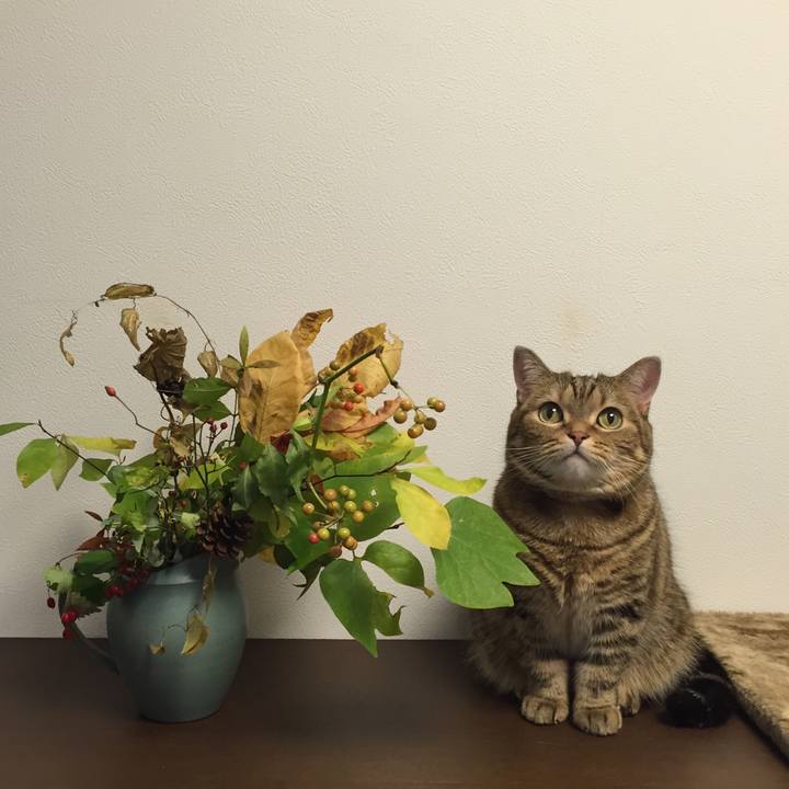 73ae351f 2840 4c80 ac9e 48e704984872