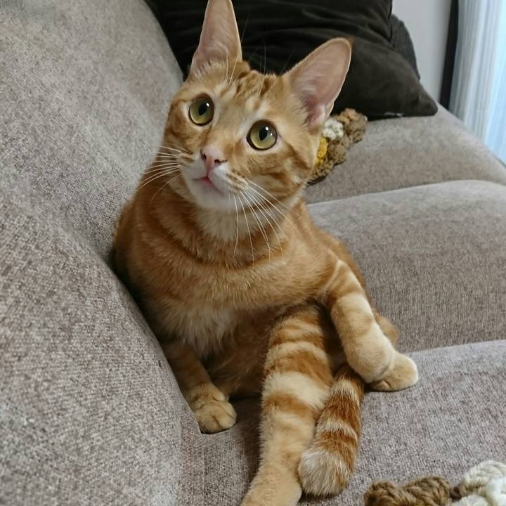 73aec14a 694c 4328 b622 2eb762165fd6