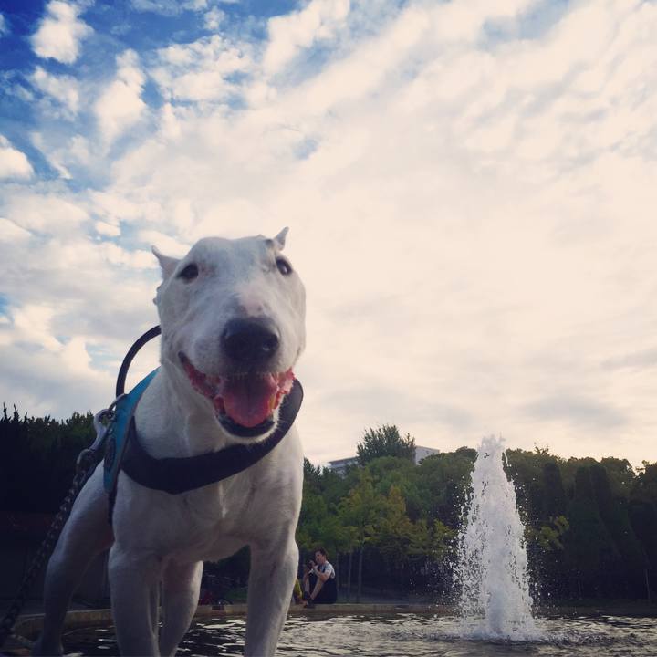 73aef0b7 a7b3 4d08 9163 5ea7039ddabd