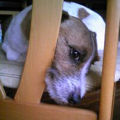 73af0792 d270 47f8 b400 f761a4981f3b