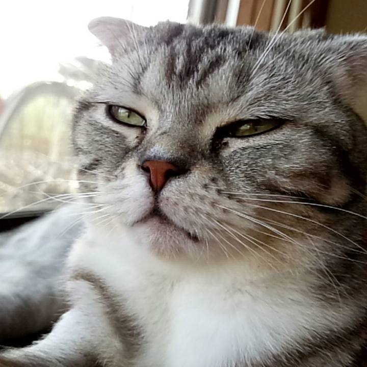 73af0e64 be80 4d87 8317 e07813ff9bf4