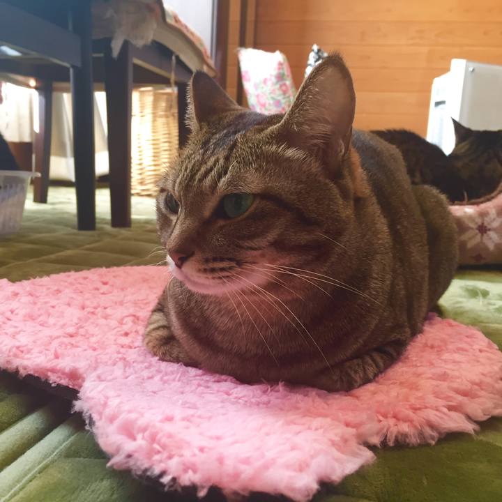 73b033b8 9e9d 4e1b b539 fda3c04615b4