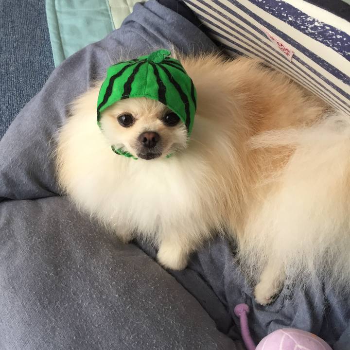 73b04fdb 9d62 485c 83ee c365b137f5a3