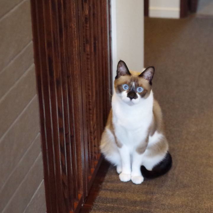 73b15fc4 fb64 4ad6 8ab4 6ec5249b3622