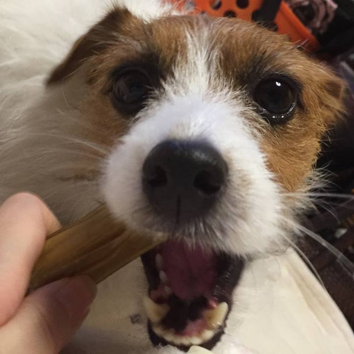 73b1daa8 b216 4ca9 91ce 6cc0fc8ec5be