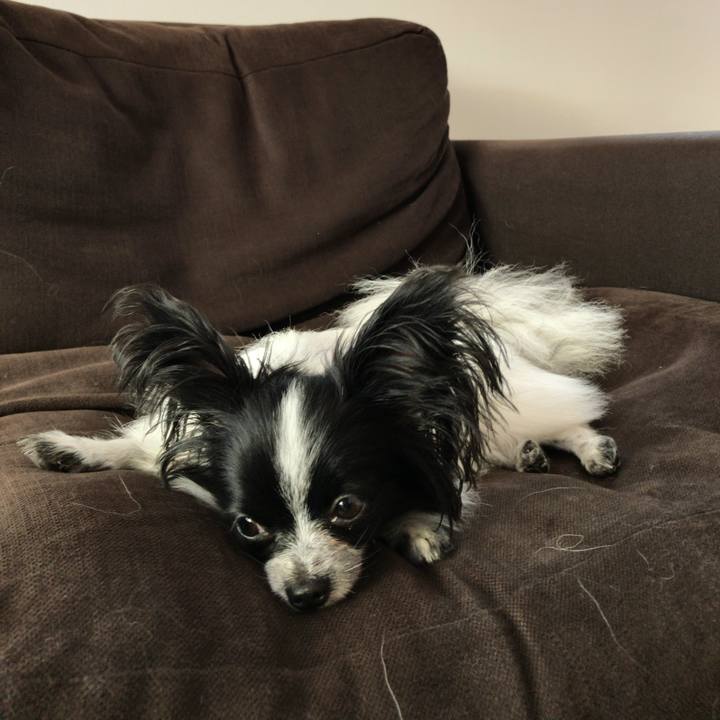 73b1f3ce aaec 4ba5 aba4 ec2f492acd4b