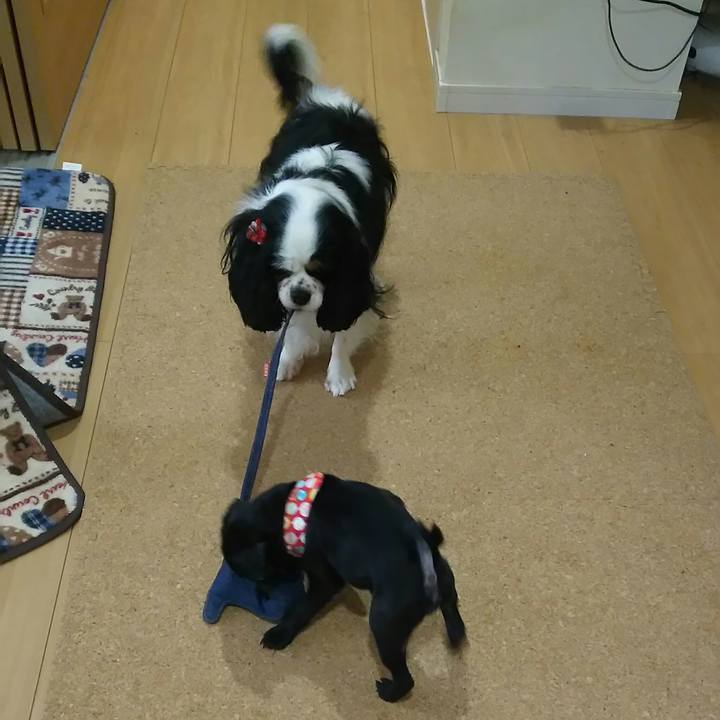 73b20de9 09e9 422e 8a86 d01f48a53dfd