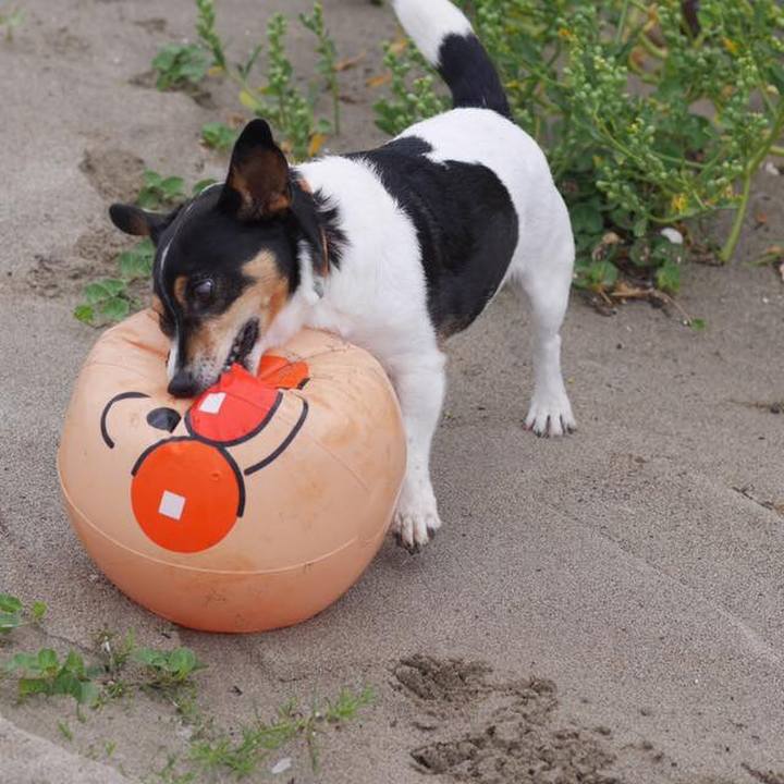 73b2412e 22bc 42c0 b198 b36518f3695c