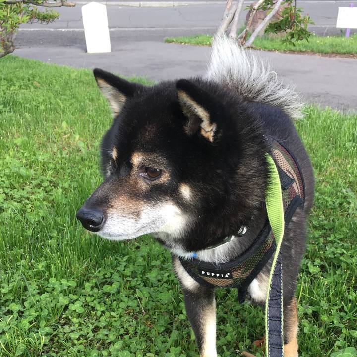 73b3107f 65e2 466e 96ab 6e452f2a6f42