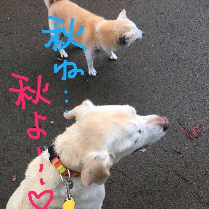 73b34480 62c0 4244 af28 241e2e16b6b4