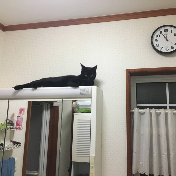 73b3647d aa74 4518 904e 42cfff80e85d