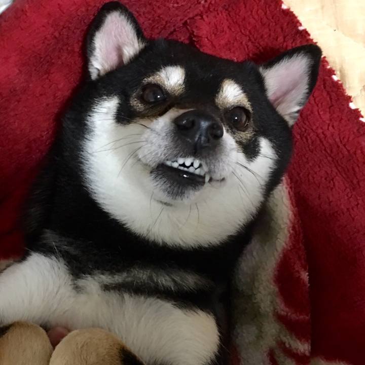 73b3780c cc8f 4d30 b711 f2980d2189c4