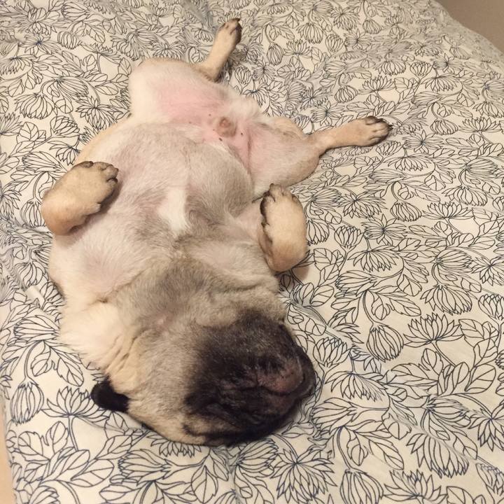 73b3ad9a 0fa1 4ccf 960f 1f26eae48758