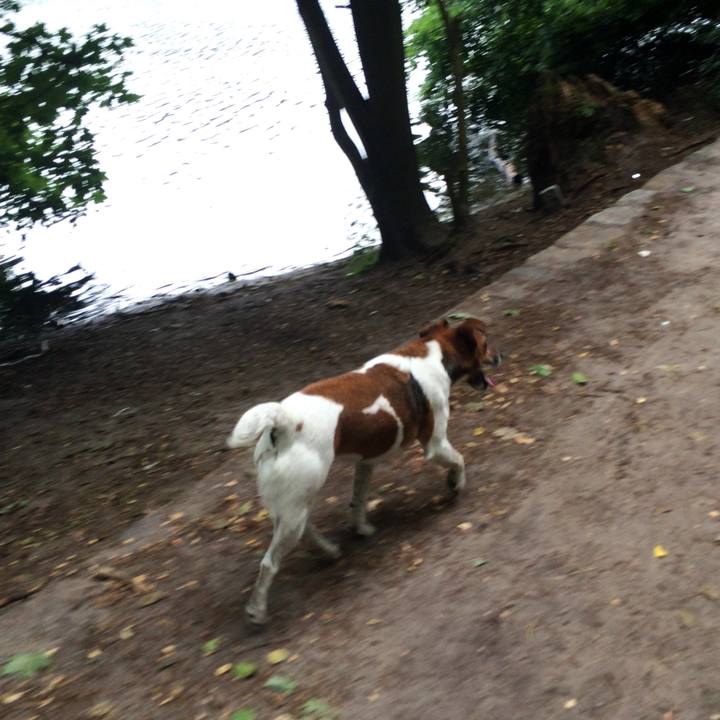 73b3b1fe e754 4077 9cb2 1c8910c83963