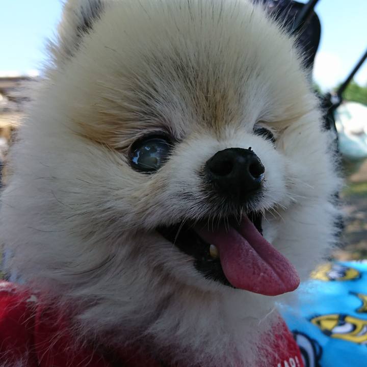 73b41577 c5cb 4d34 9c5d 0ea6eef18cfc