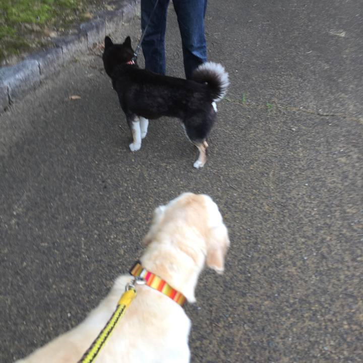 73b4847a 6022 4b50 a1d8 1639f4088961