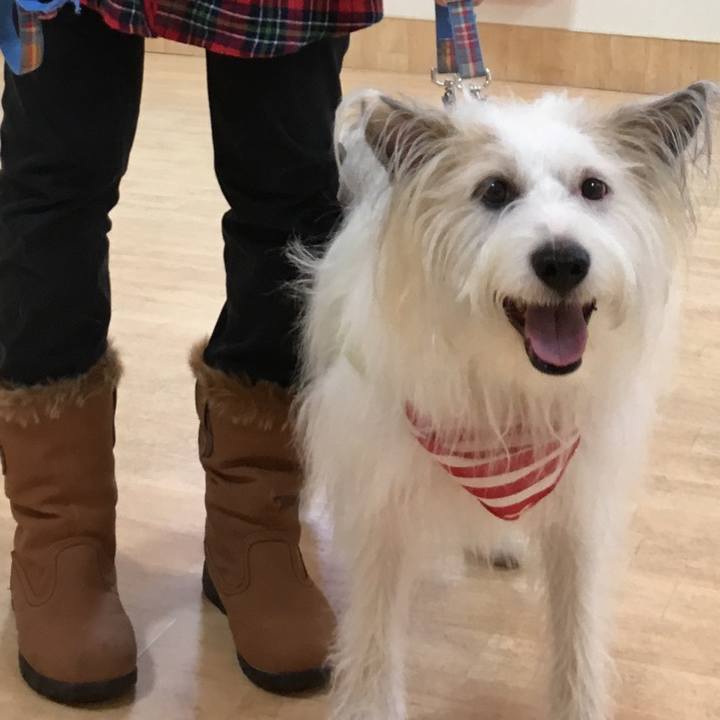 73b5984b 37eb 4880 86df fd7e9f473e67