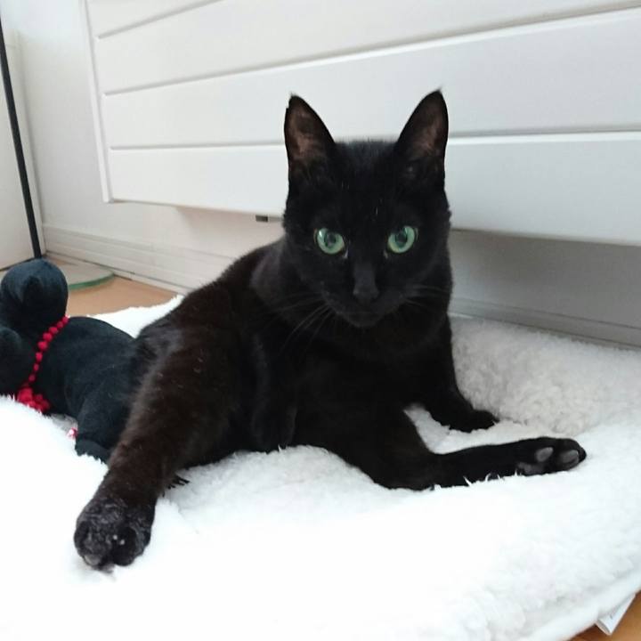 73b6043b 3a43 45f0 8525 83cd5467014c