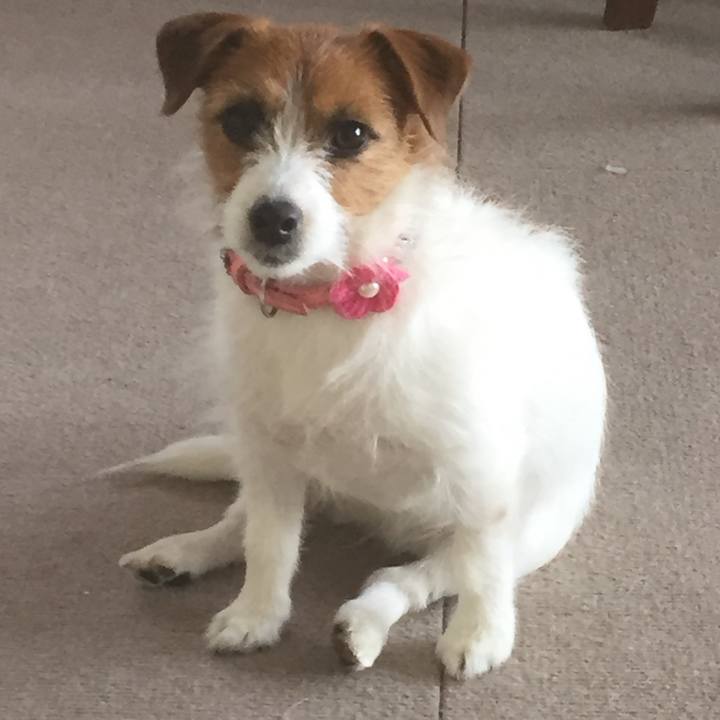 73b61d6c ccaf 4b1c b90c cbe9db81d840