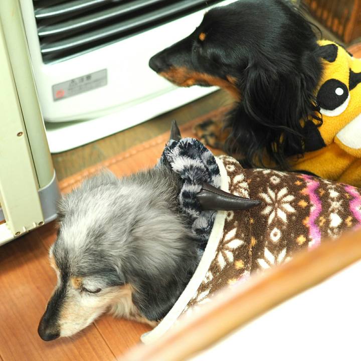 73b68a0e df10 4453 ba16 69973d67250f