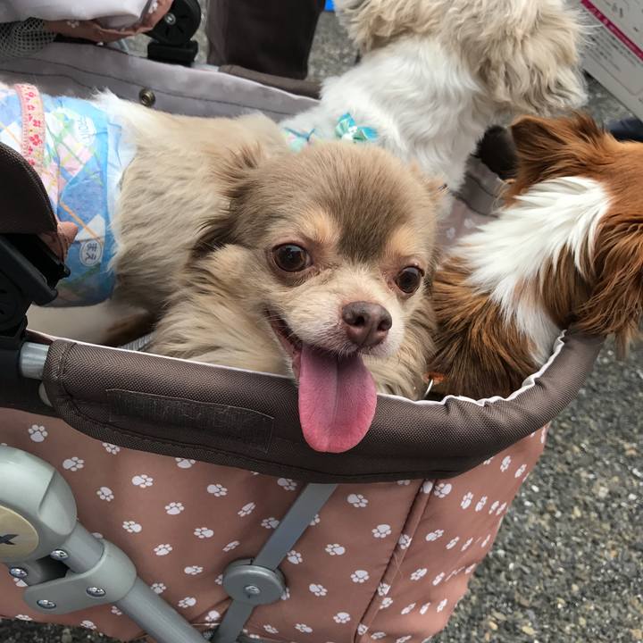 73b6b46c b1a3 493e a22d d26fef5aa5ee