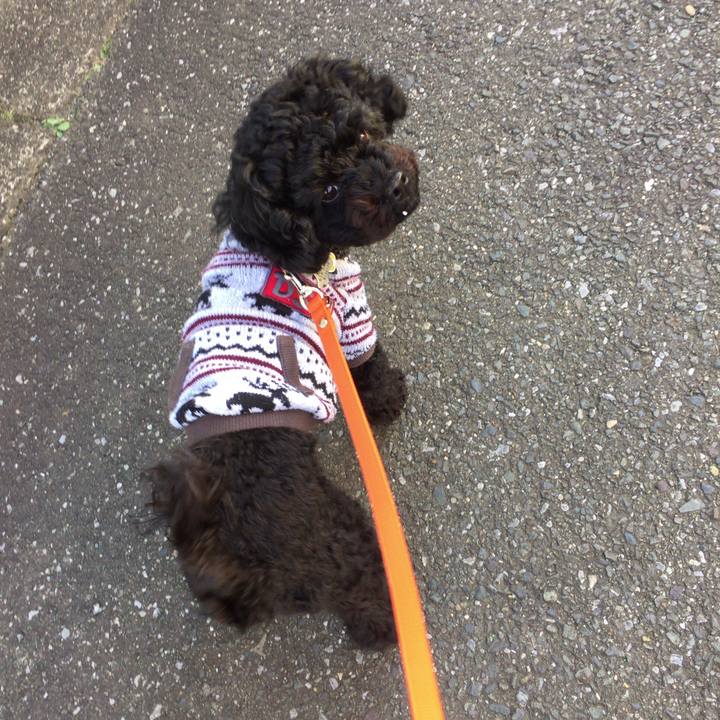 73b73077 a963 4d06 81e5 047c4256f758