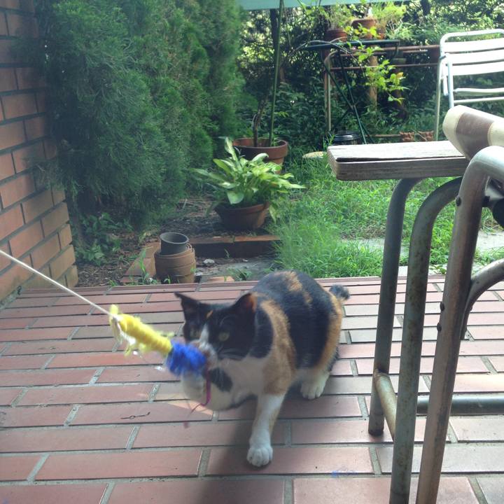 73b7f826 0251 413d 88ea 4b9c7629c2c7