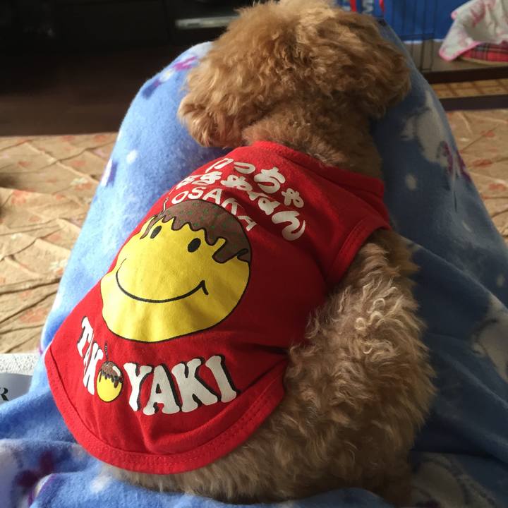 73b80d58 b546 4297 8499 c004d92a8680