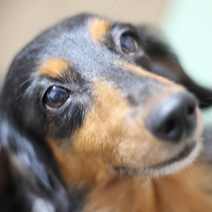 73b88ff0 6660 4faa a16b deba5194202b