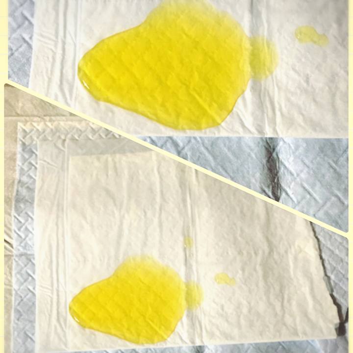 73b9047a 2ed4 44f1 be9b 2acd6635c94c