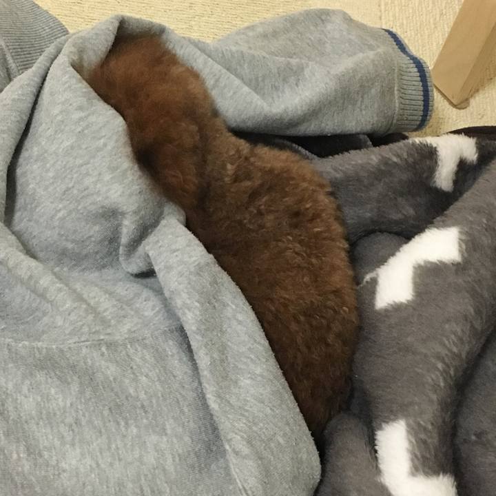 73b98afd 0a89 4234 a11a 68abf16d6e4c