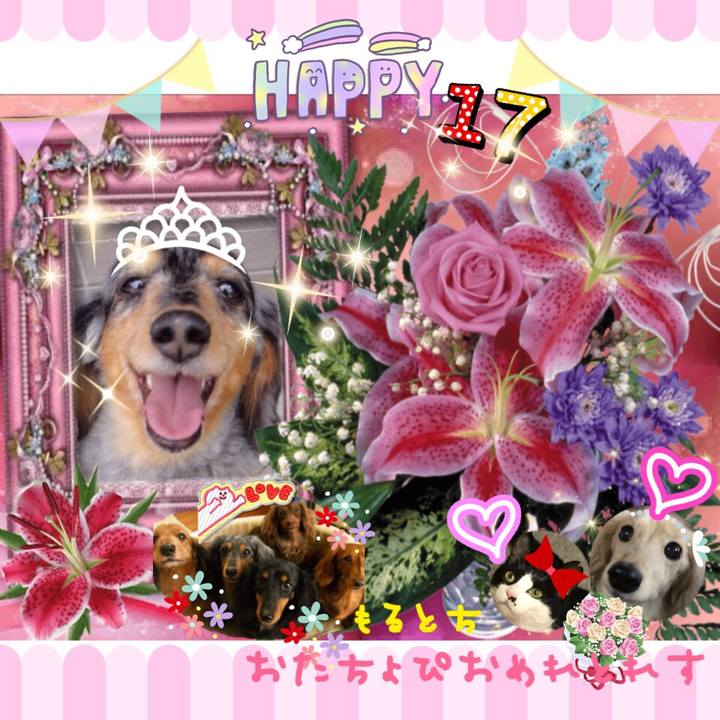 73b9ecb1 1eb8 439f 9458 b0761d4fcc29
