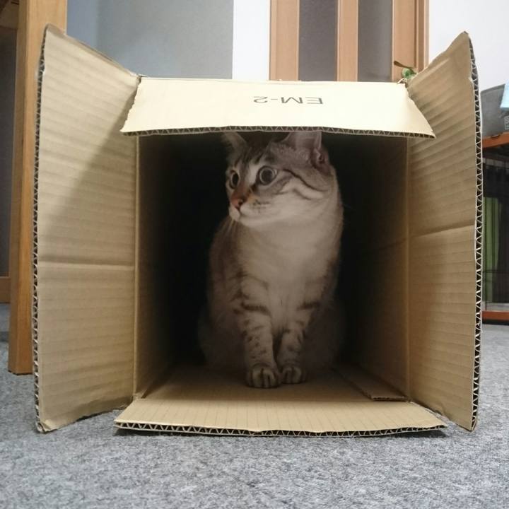 73ba005b 10c6 4ffc 9cbb 608aff79e645