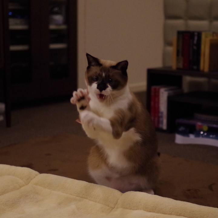 73ba3cf5 f2f9 479d ae75 5b9e589bdea3