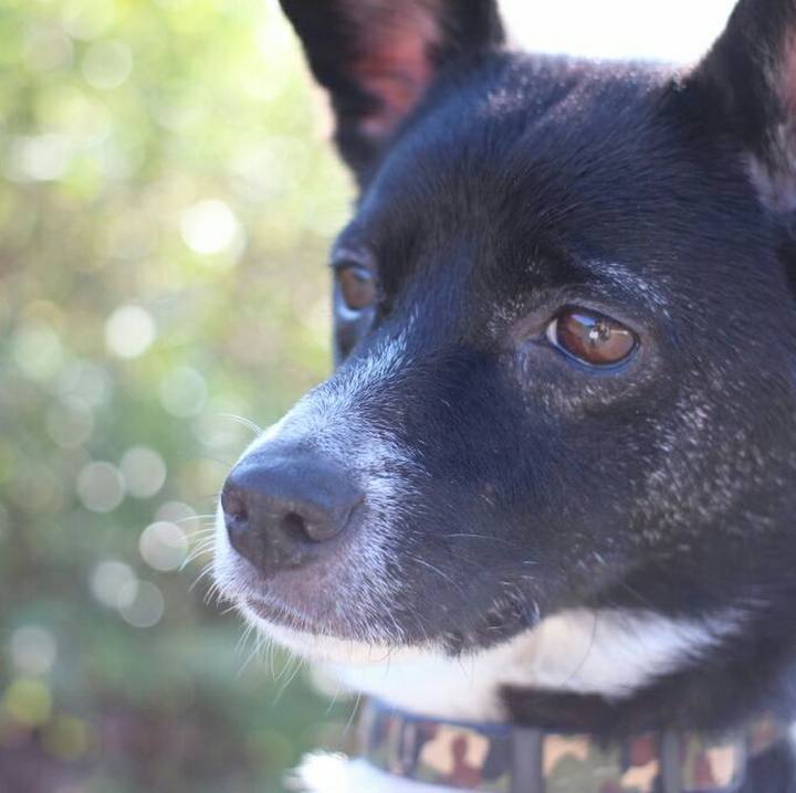 73bb16fa fa91 4429 bef1 c7474e5b35f9