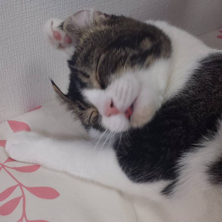 73bb983b 2f1f 4d71 bf0f 1a7aee6171ff