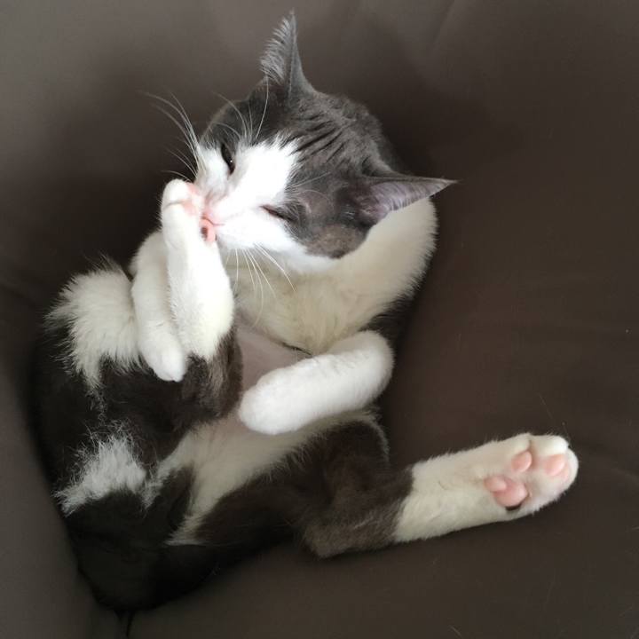 73bbafb1 ef1e 4b93 a9d7 123e20448764