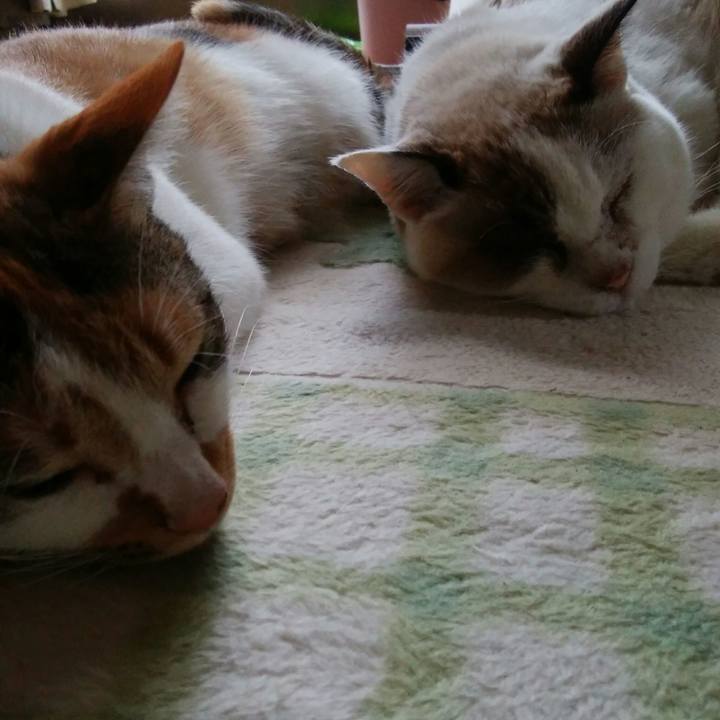 73bbb818 10a7 4203 98f9 ad267f176ff7