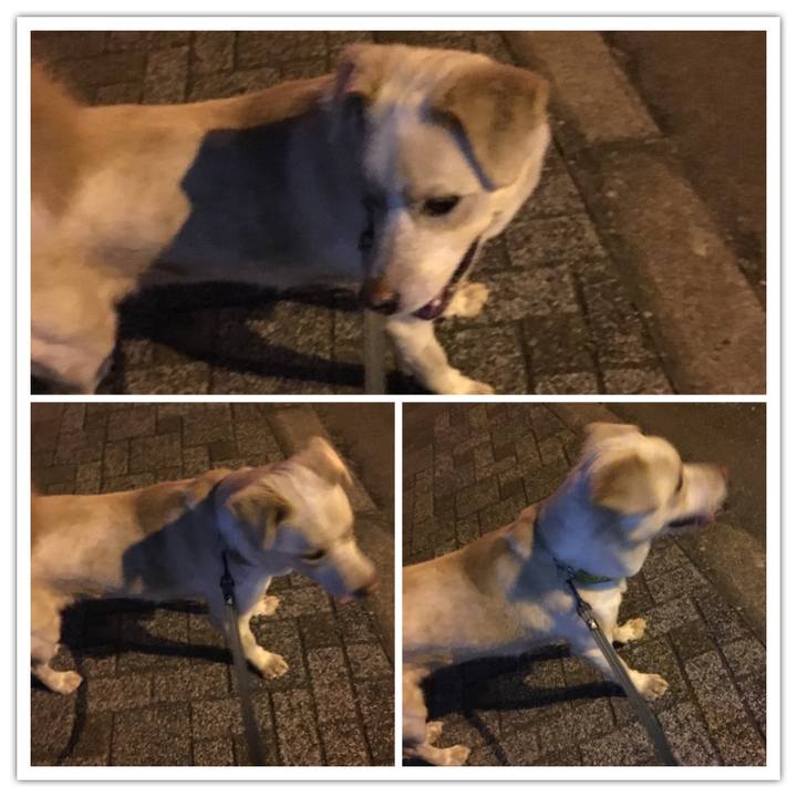 73bc07b6 430f 424d b6cf 2037c5cfef3b