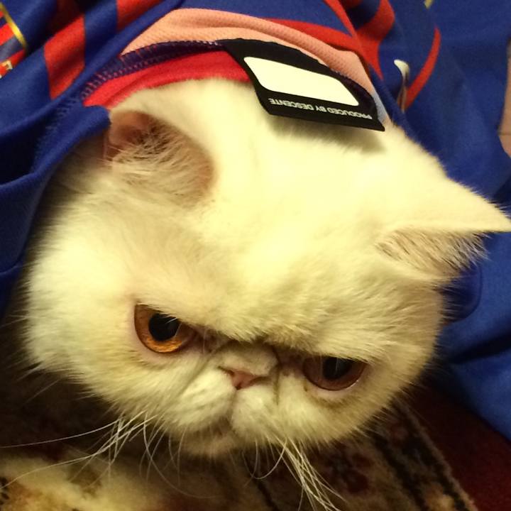 73bcce8c 9754 4240 953a b90e68c1d01b