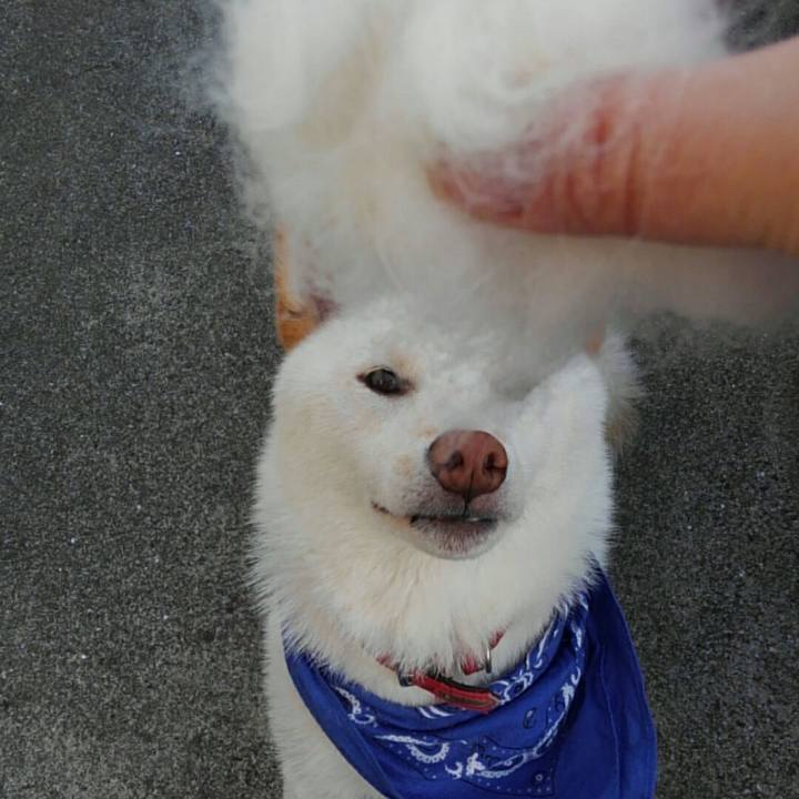 73bd463e ae14 4065 8e63 a145b9505a31