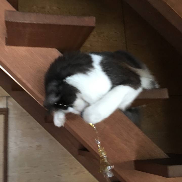 73bd5291 d2dd 49b0 8e19 50285b650433