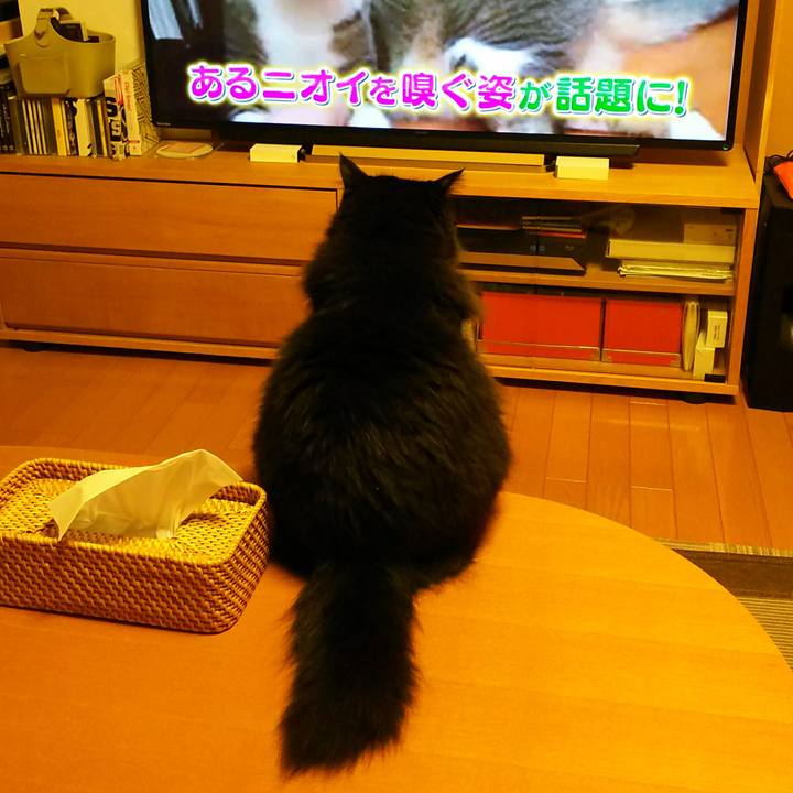 73bdd5c9 f1d9 4562 a232 d3858b8d47ad