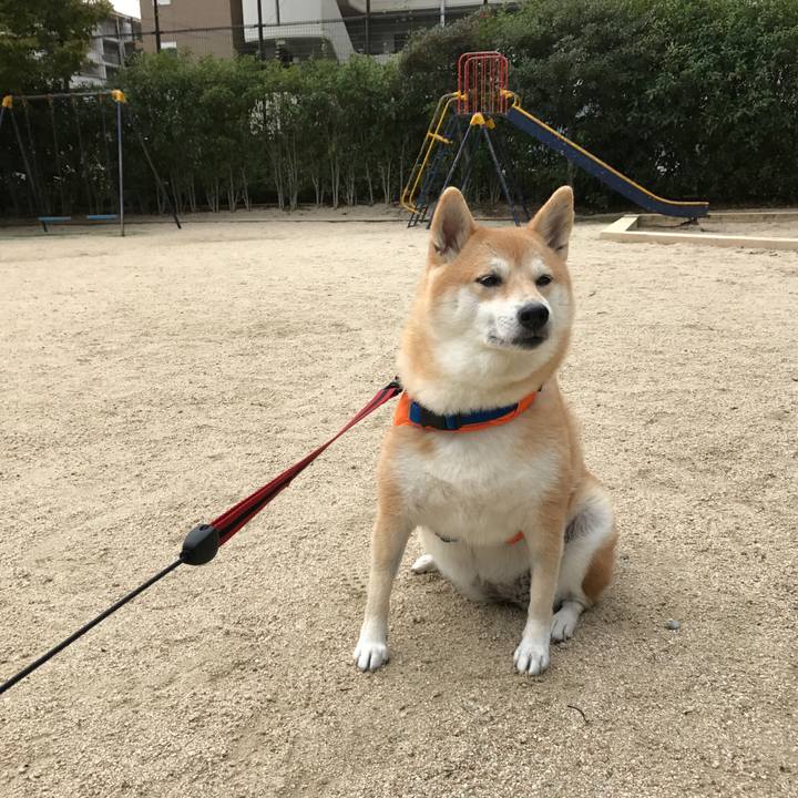 73be63c2 fb86 445d 8179 cb6b1cc943a6