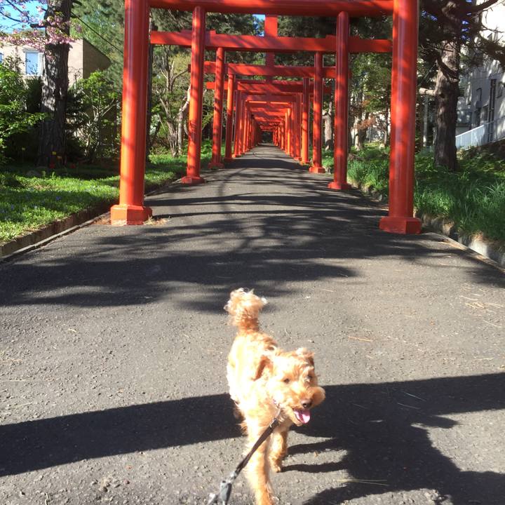 73be6967 4a88 402b a77f 7969abd9759a