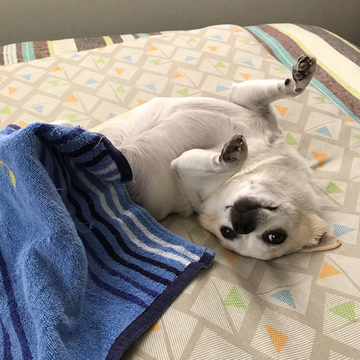 73be7988 580b 4951 8345 060888436989