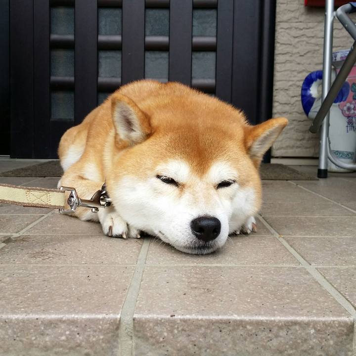 73bf2262 b245 4216 b811 72502b2823e7