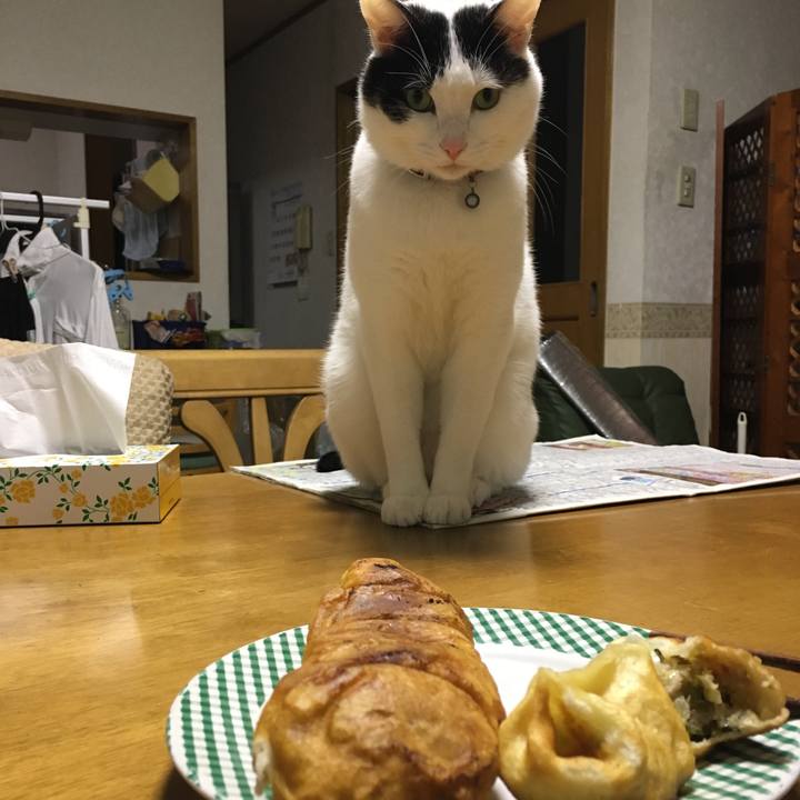 73bf8457 eb77 4df6 a4a0 0d9fbfb24053